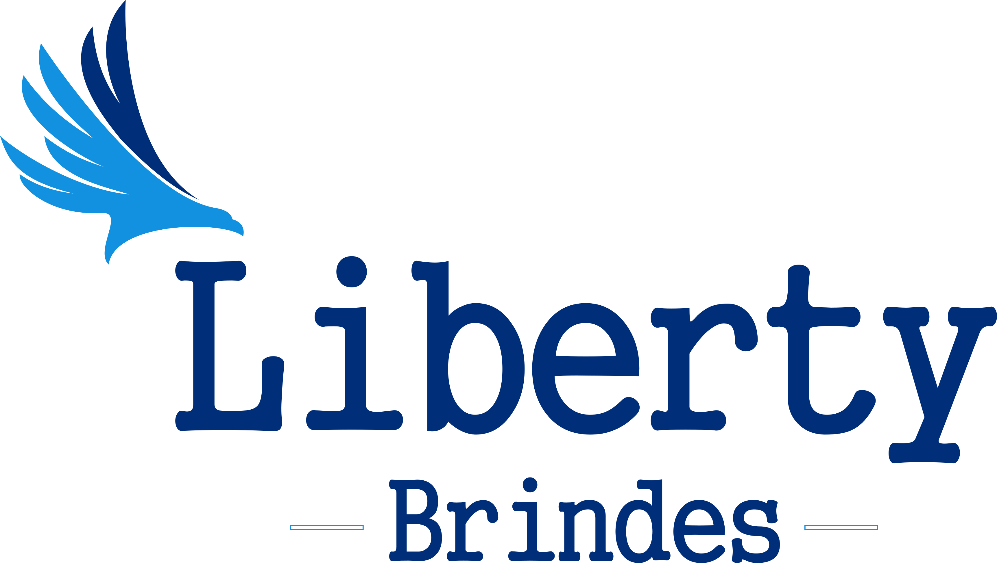 3B Brindes